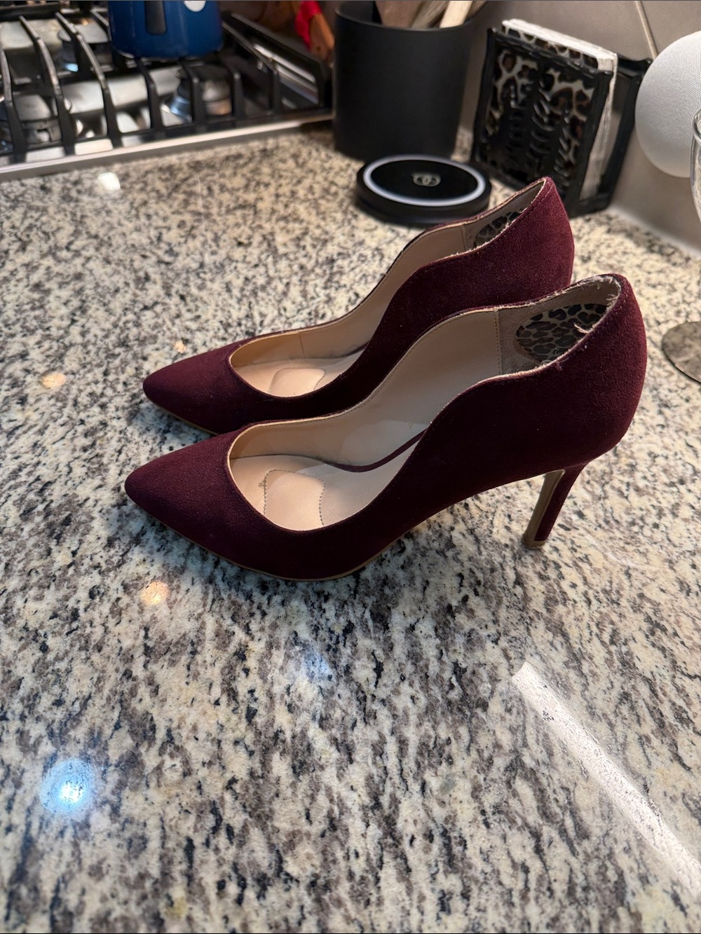 Women’s Pointed Toe High Heels in Burgundy
